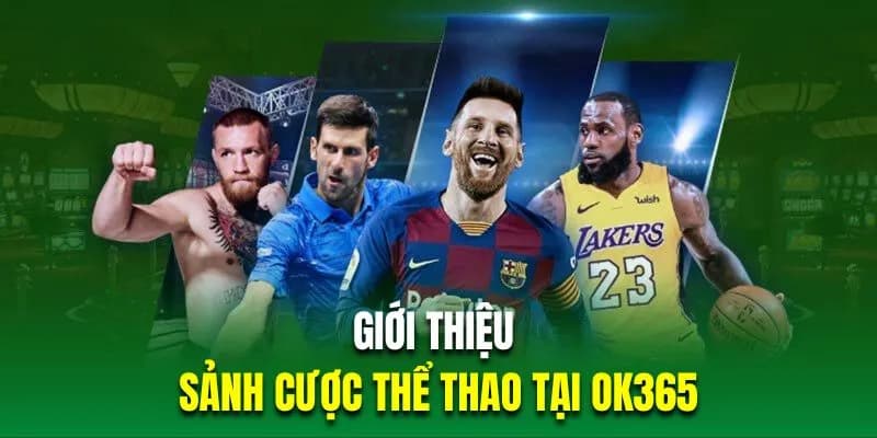 Sảnh cược thể thao OK365 đẳng cấp