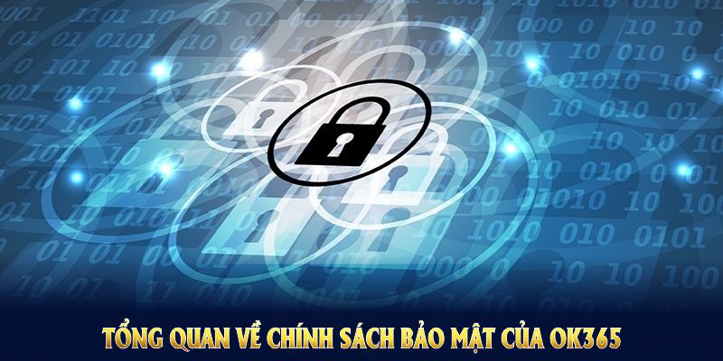 Tổng quan về chính sách bảo mật của OK365 dành cho tân thủ